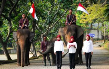 Taman Wisata Lembah Hijau Gelar Upacara HUT RI ke-79 dengan Partisipasi Satwa Langka