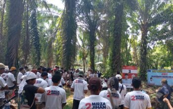 Partai Prima Ajak Masyarakat Dukung Mirza-Jihan dan Lawan Golput