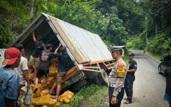 Tak Kuat Nanjak, Truk Box Sebabkan Tabrakan Beruntun di Jalur Pantai Mutun