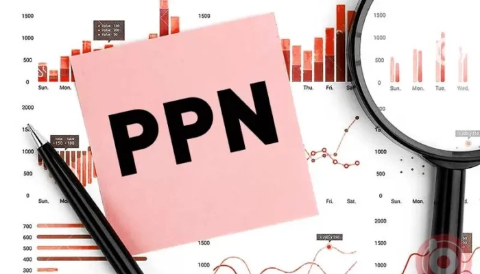 PPN 12% Mulai Berlaku 1 Januari 2025, Ini Kategorinya