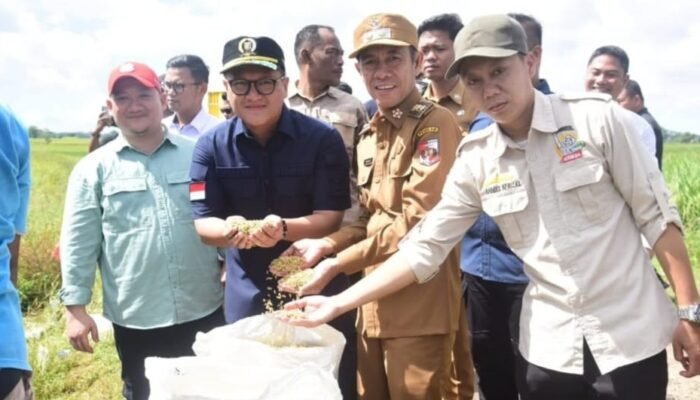 Ketua DPRD Lampung dan Gubernur Hadiri Panen Raya Padi Serentak di 14 Provinsi