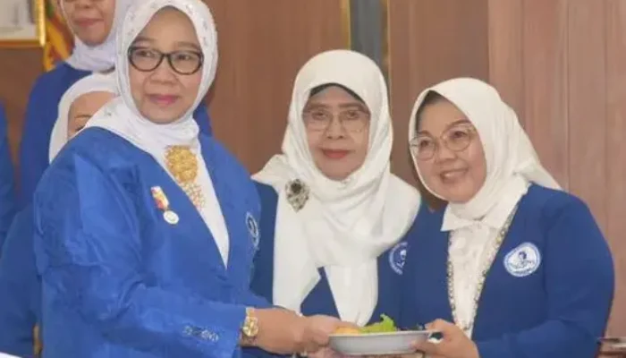 HUT IWAPI ke-51, Kostiana: Transformasi Digital Jadi Kunci Memperluas Akses Pasar