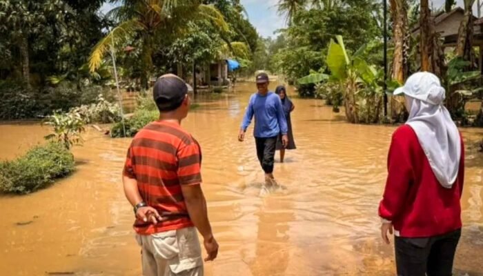 DPRD Lampung Tinjau Lokasi Banjir di Lampung Selatan, Dorong Perbaikan Tanggul Way Galih