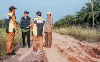 Gubernur Lampung Anggarkan Rp135 Miliar Perbaiki Jalan Rawa Pitu, yang Puluhan Tahun Diharapkan Masyarakat