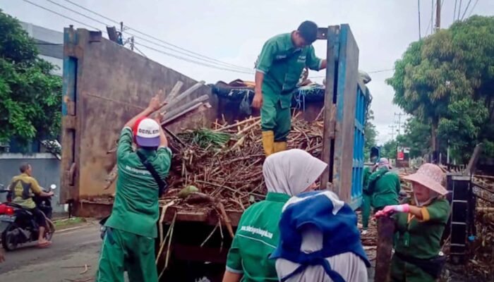 DPRD Lampung Desak Pemkot Bandar Lampung Bayar 398 Tenaga Kebersihan Sejak Januari, Budiman: Udah Mau Lebaran